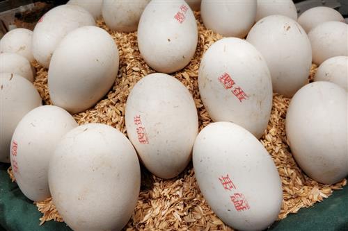 鸡蛋 鹅蛋和鸭蛋,哪一种蛋更营养